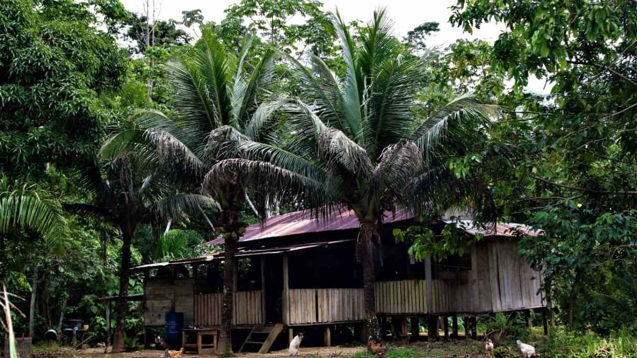 A family home in Nuevo Eden, located in the Manu Biosphere in Peru