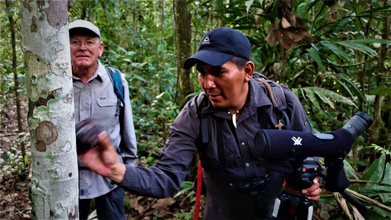 Tour guide Moises Llaqui teaches travelers about the jungle