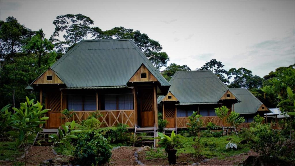 Pona Lodge near Patria, Peru