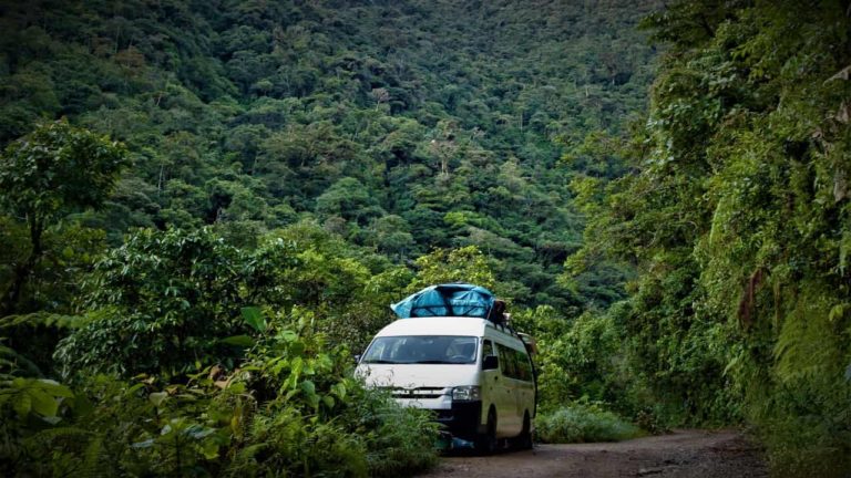 A private van will transport you through the beautiful cloud forest