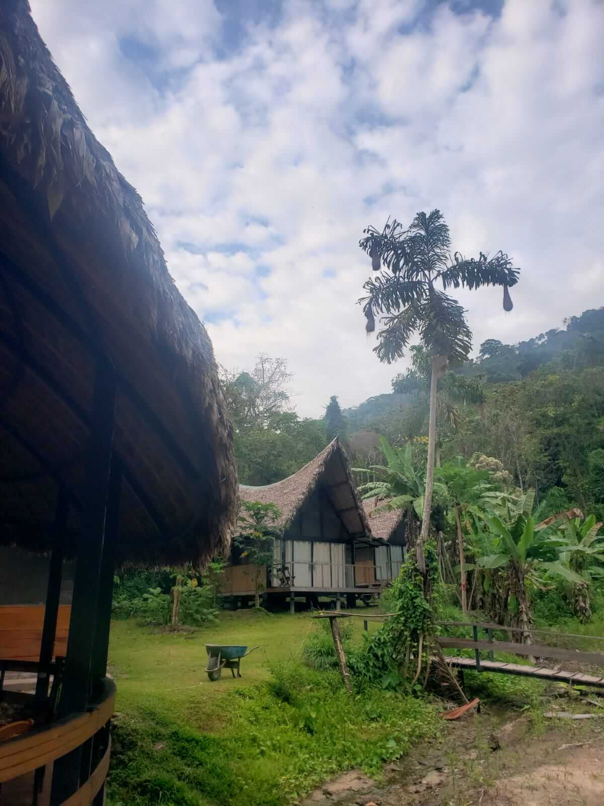 Photo of the exterior of a rustic stylish jungle lodge near Machu Wasi Manui National Park