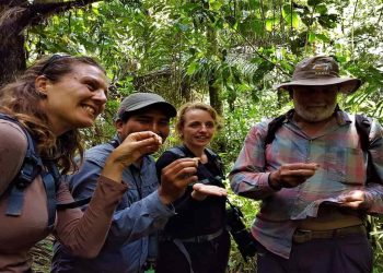 Travelers explore the Amazon jungle on a guided tour