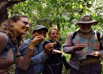Travelers explore the Amazon jungle on a guided tour